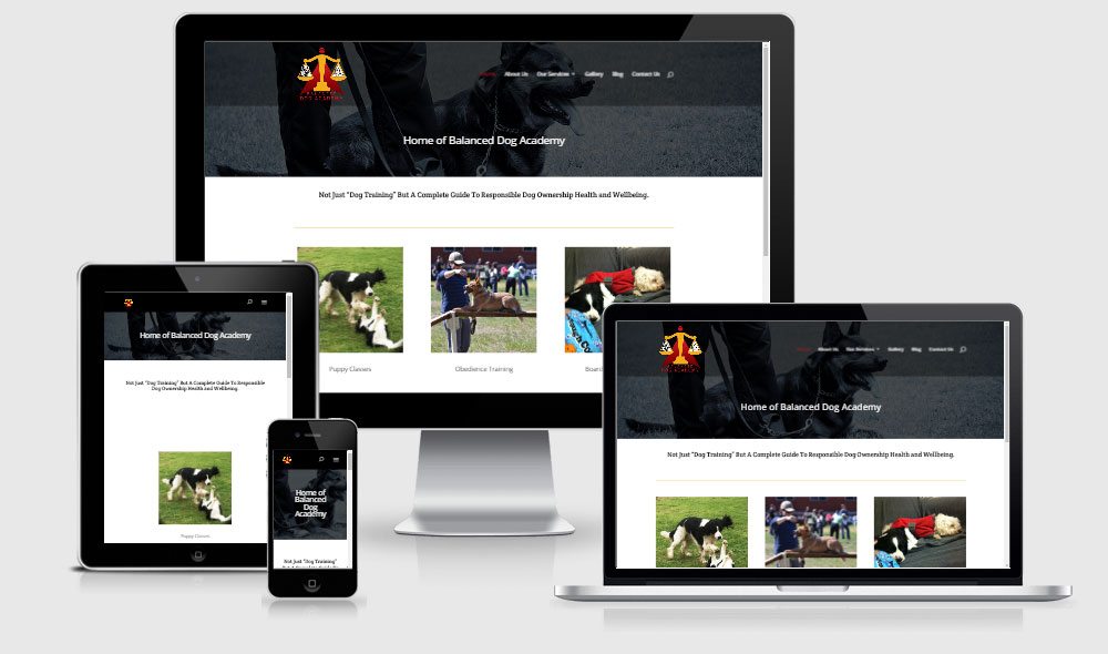 Balanced Dog Academy